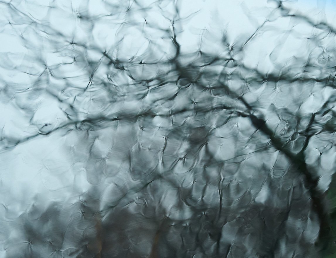 https://www.flickr.com/photos/snlsn/